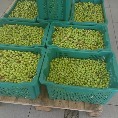 Stari Zoganj Сasa de vacaciones *