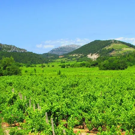 Stari Zoganj Сasa de vacaciones