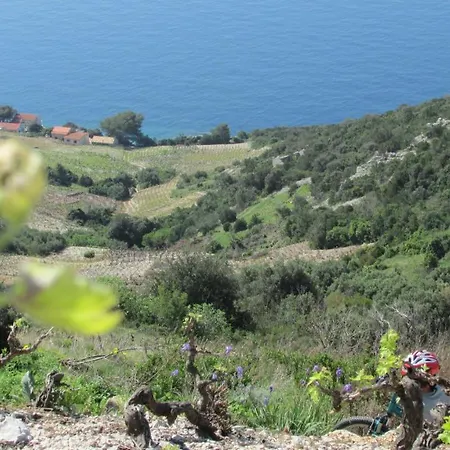 Stari Zoganj Сasa de vacaciones Potomje