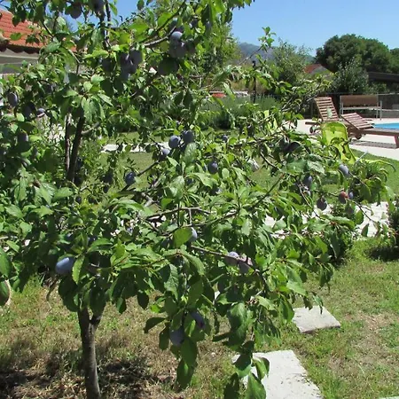 Stari Zoganj Дом отдыха